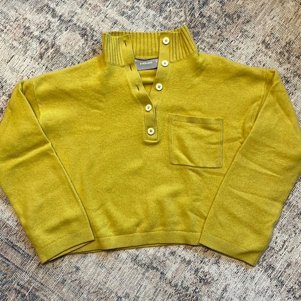 Everlane Cashmere Cropped Sweater